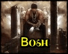 Bosh + D