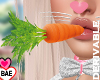 B| Easter Bunny Carrot