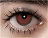 devilish brown eye