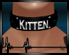 + Kitten Collar F