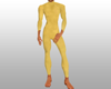~RW~Gold Bodysuit