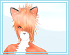 ~*c*~Fox hair