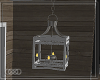 ∞ Seascape lantern