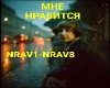 PerepishemRealnost-Nravi