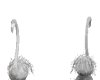 cisnes