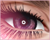 Halo - Berry Eyes