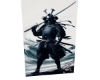 A, Samurai 14