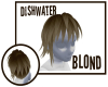 [S9] Dishwater Blond