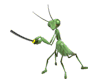Samuri Sword Mantis