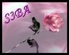 !S! 3ola