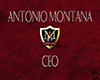 {M} Montana CEO