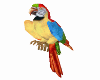PARROT BIG ANIMATED