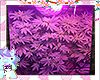 🚬.Purple Haze
