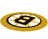 NHL Bruins Rug