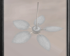 SS Island Ceiling Fan