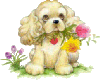 Doggy Flowers