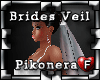 !Pk Wedding Veil Brides2