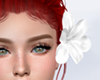 White Tropical Flower L
