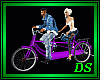 *Couple Bike  /Purple