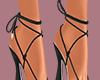 Sarah Heels