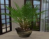 Green Stone Planter