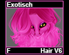 Exotisch Hair F V6