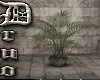 Plant for crypt room [D]