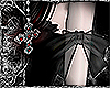 ✟﹔Bound Ribbon