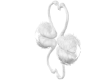 White Swan