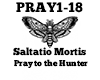 Saltatio Mortis Pray