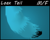 Loax Tail M/F