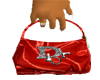Red  Handbag