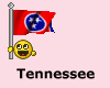 Tennessee flag smiley