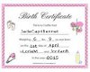 birth certificate3