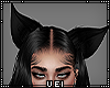 v. Cat Ears Black