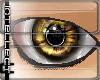 [IC] Gold Eyes