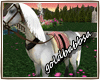 horse white _wedding
