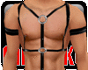[PVC HARNESS OUTFIT][1]