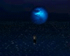 Blue Moon Night