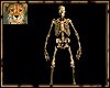 PdT Skeleton Statue