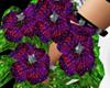 Purple wedding Flowers