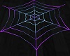 Annimated Spider Web