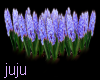 Hyacinth Divider