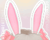 ❄ Bunny Candy Ears