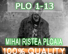 Mihai Ristea - PLOAIA