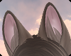 🌻Vixen Ears•Umber