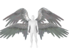 !V Silver Animated Wings