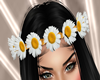Crown Flowers★