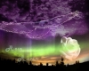 Rose Raven Pic