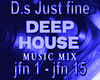 D.s Just fine  mix